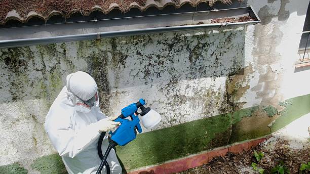 Top rated local Attic Mold Removal specialists in Marietta, PA